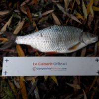 photo prise 6047 par Mr Perche 