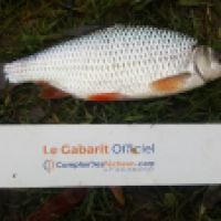 photo prise 6048 par Mr Perche 