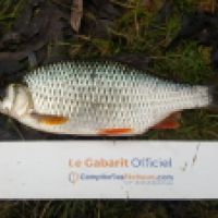 photo prise 6050 par Mr Perche 