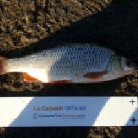photo prise 6052 par Mr Perche 