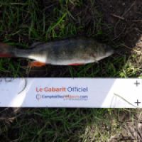 photo prise 6055 par Mr Perche 