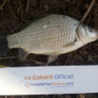 photo prise 6077 par Mr Perche 