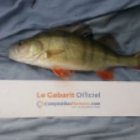 photo prise 6079 par Mr Perche 