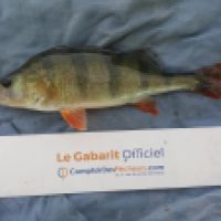 photo prise 6081 par Mr Perche 