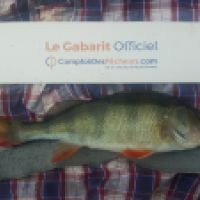 photo prise 6082 par Mr Perche 