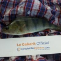 photo prise 6083 par Mr Perche 