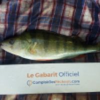 photo prise 6084 par Mr Perche 