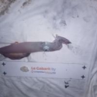 photo prise 6131 par Christo CN
