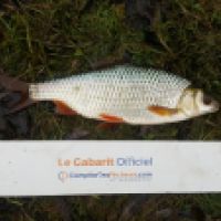 photo prise 6167 par Mr Perche 