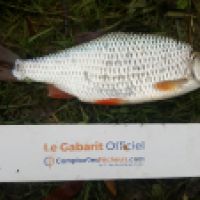 photo prise 6168 par Mr Perche 