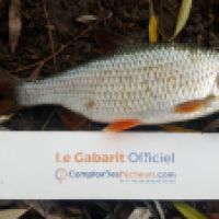 photo prise 6171 par Mr Perche 