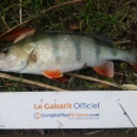 photo prise 6173 par Mr Perche 