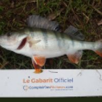 photo prise 6174 par Mr Perche 