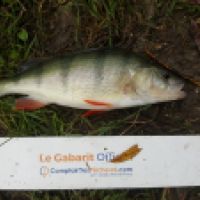 photo prise 6178 par Mr Perche 