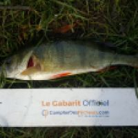 photo prise 6179 par Mr Perche 