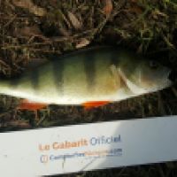 photo prise 6183 par Mr Perche 