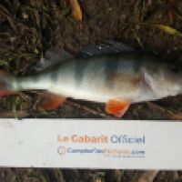 photo prise 6184 par Mr Perche 