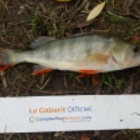photo prise 6186 par Mr Perche 