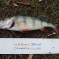 photo prise 6187 par Mr Perche 