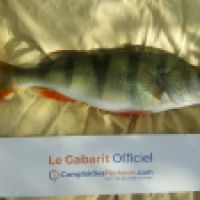 photo prise 6191 par Mr Perche 
