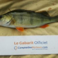 photo prise 6193 par Mr Perche 