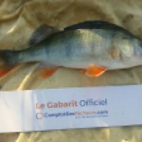 photo prise 6197 par Mr Perche 