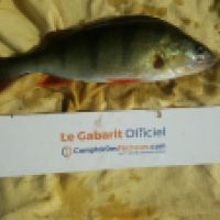 photo prise 6198 par Mr Perche 