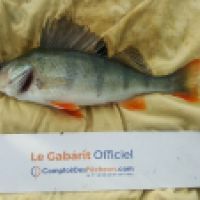 photo prise 6200 par Mr Perche 
