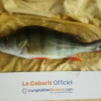 photo prise 6204 par Mr Perche 