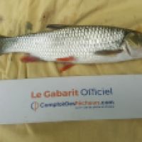photo prise 6209 par Mr Perche 