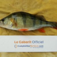 photo prise 6211 par Mr Perche 