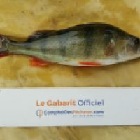 photo prise 6213 par Mr Perche 