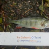 photo prise 6221 par Mr Perche 