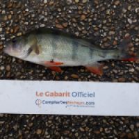 photo prise 6223 par Mr Perche 