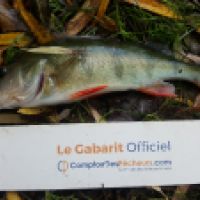 photo prise 6224 par Mr Perche 