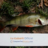 photo prise 6226 par Mr Perche 