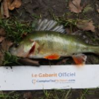 photo prise 6228 par Mr Perche 
