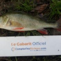 photo prise 6229 par Mr Perche 