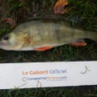 photo prise 6246 par Mr Perche 