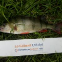 photo prise 6247 par Mr Perche 