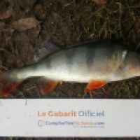 photo prise 6248 par Mr Perche 