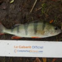 photo prise 6251 par Mr Perche 
