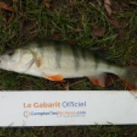 photo prise 6252 par Mr Perche 