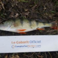 photo prise 6253 par Mr Perche 