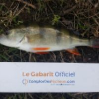 photo prise 6254 par Mr Perche 