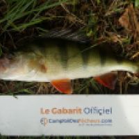 photo prise 6256 par Mr Perche 