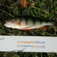photo prise 6257 par Mr Perche 
