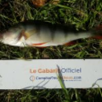 photo prise 6258 par Mr Perche 