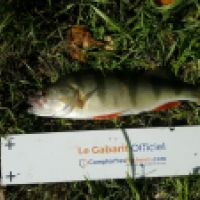 photo prise 6259 par Mr Perche 
