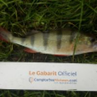 photo prise 6262 par Mr Perche 